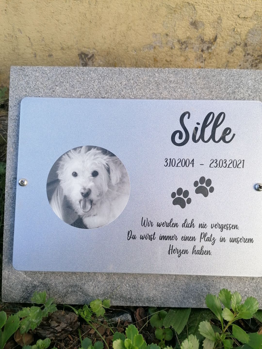 Customer photo review of Gedenktafel Hund "Lieblingshund"