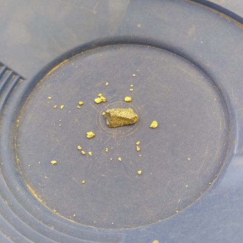 Customer photo review of Nugget Reserve 'MUSEUM SPECIMEN CHASE' - Gold Panning Paydirt Concentrate
