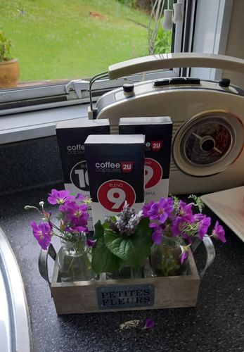 Customer photo review of 120 Capsule Box; pick a mix of blends