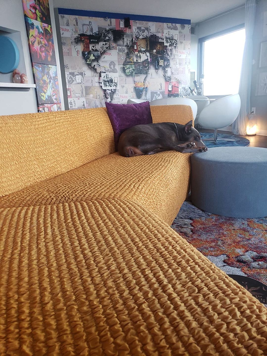 Customer photo review of Corner Sofa Slipcover, Comfort Collection