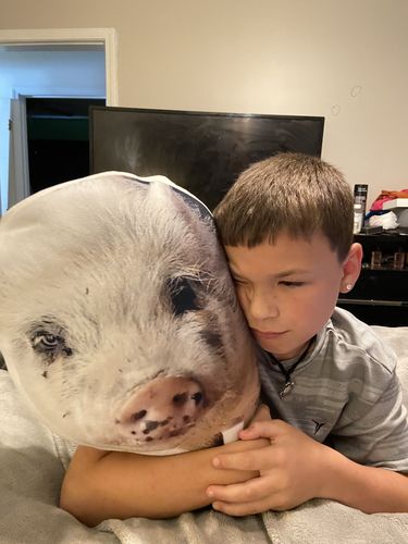 Customer photo review of Create A Custom Animal Pillow