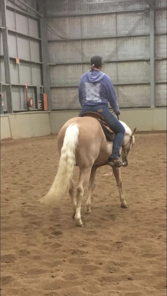 Customer photo review of Stress Paste