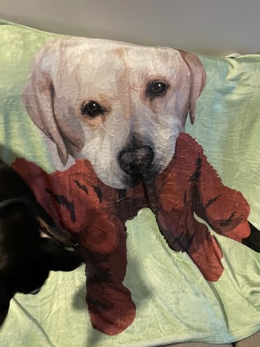 Customer photo review of Custom Pet Print Fleece Blanket