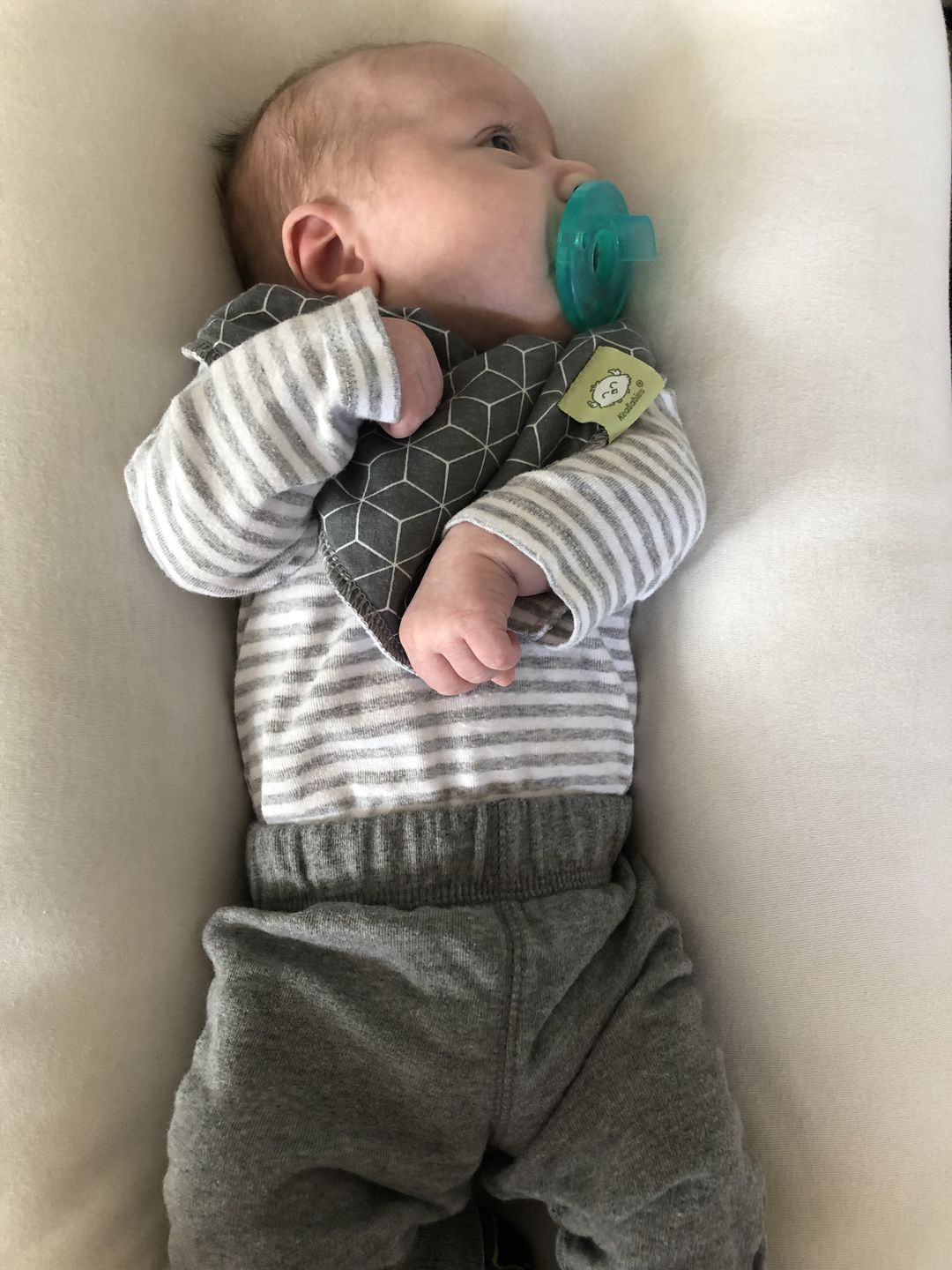 Customer photo review of 8-Pack Organic Bandana Bibs