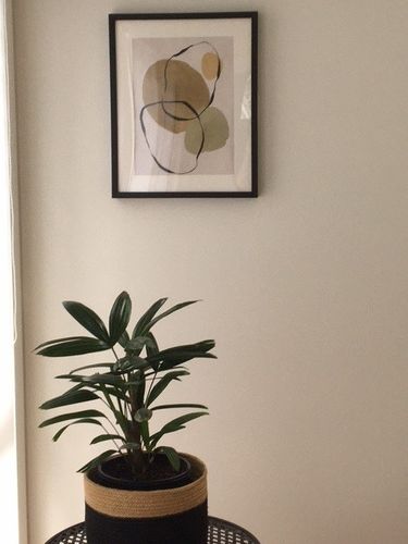 Customer photo review of Pierre Abstraite II