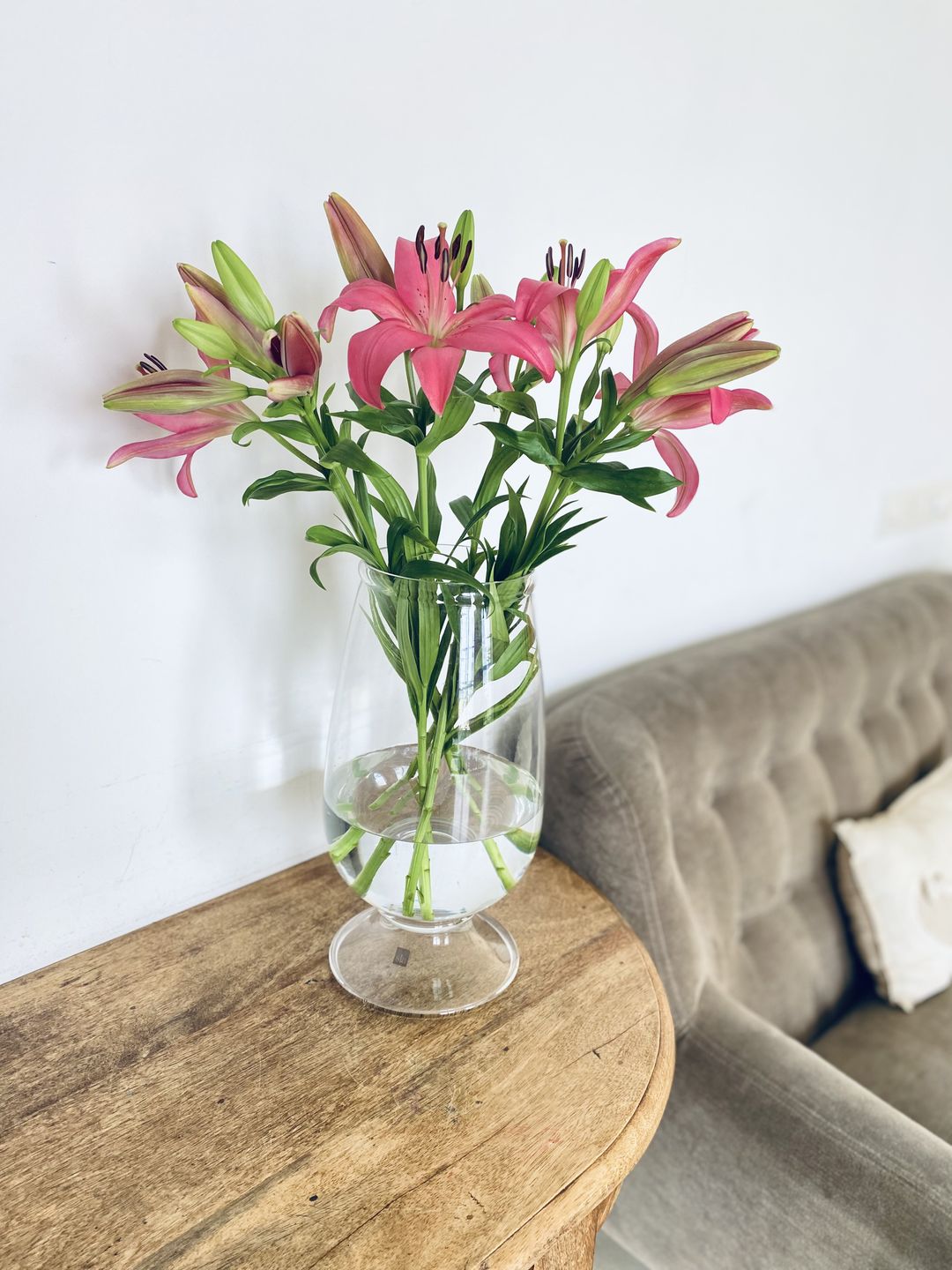 Customer photo review of Asiatic Lily