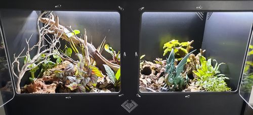 Customer photo review of XT4 (48Lx24Dx24H) - STACKABLE