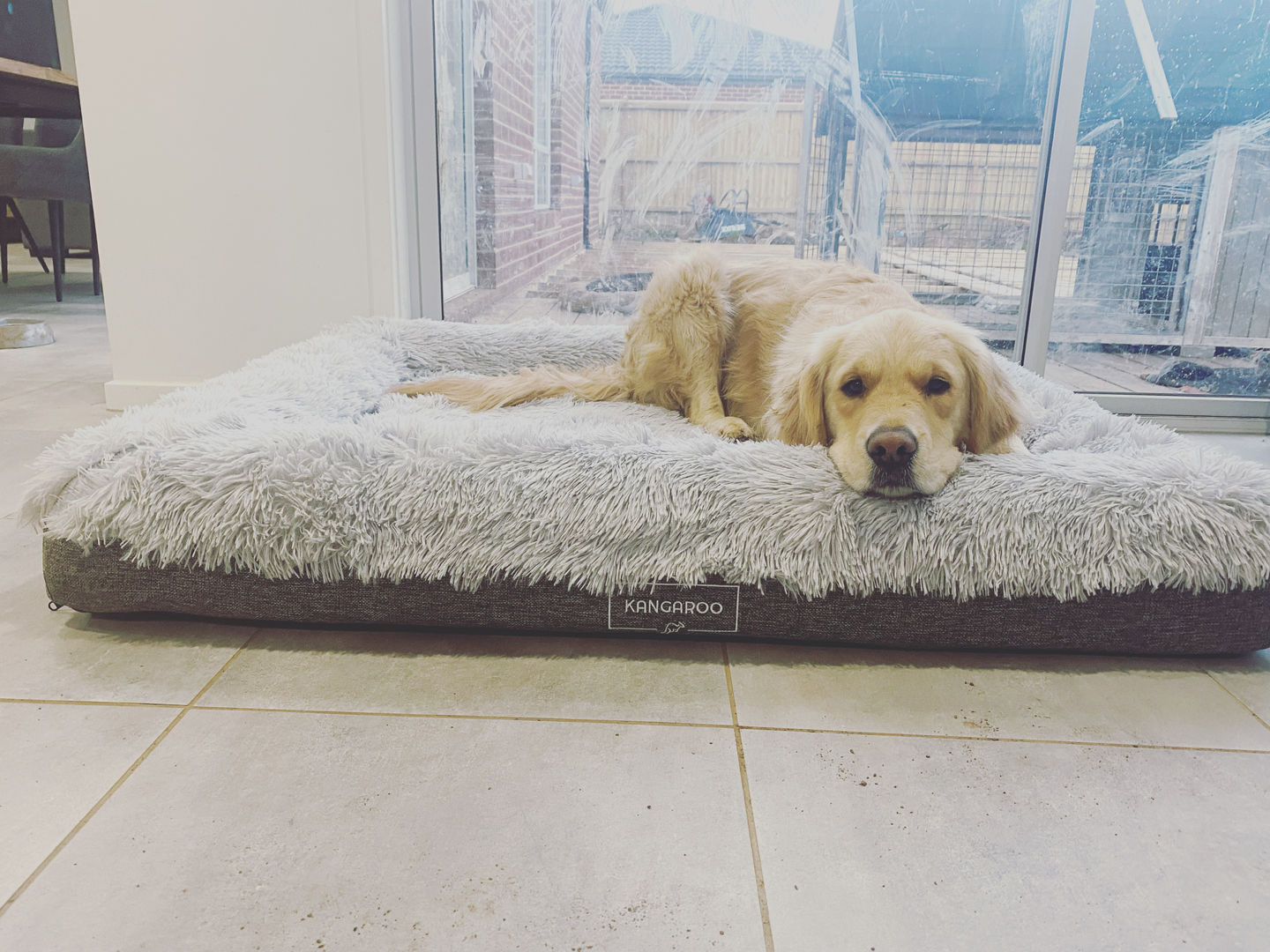 Customer photo review of Calming Bed Cover for Kangaroo Bed