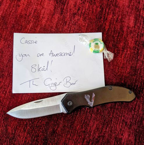 Customer photo review of Tactical Modern Locking Knife