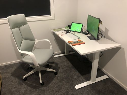 Customer photo review of Evo Electric Standing Height Adjustable  Desk(Free Shipping)