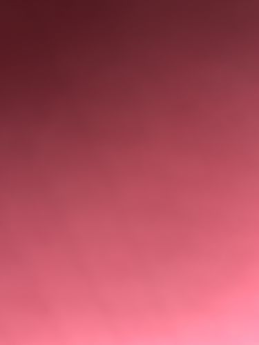 Customer photo review of The North Face - Polaire (XL) (P458)