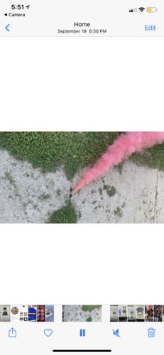 Customer photo review of Gender Reveal Smoke Ball 12 Pack [Blue or Pink] Discreet Labels