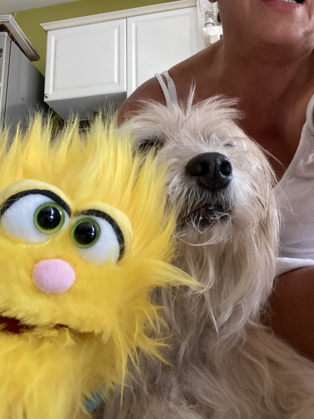Customer photo review of Marionnette Chamicki Monstre Jaune