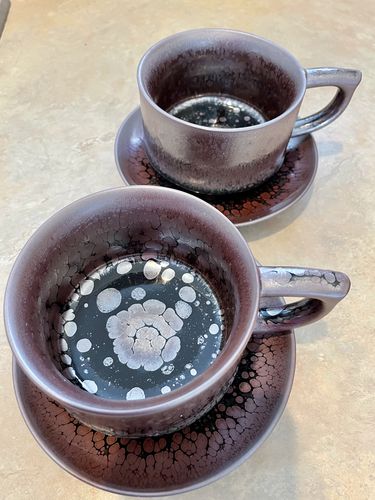 Customer photo review of Succulent Coffee Cup