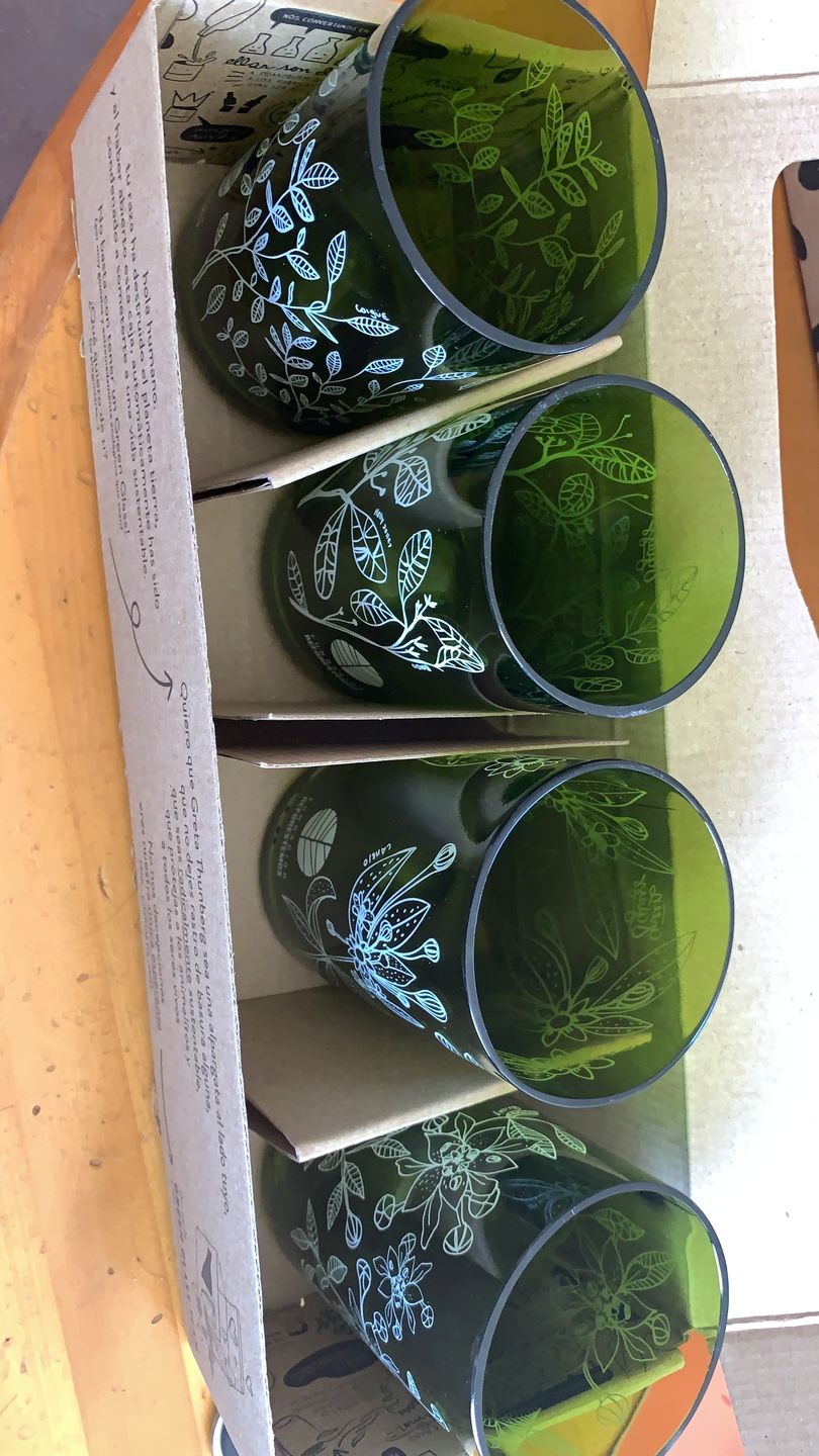 Customer photo review of Reforestemos Juego de 4 Vasos