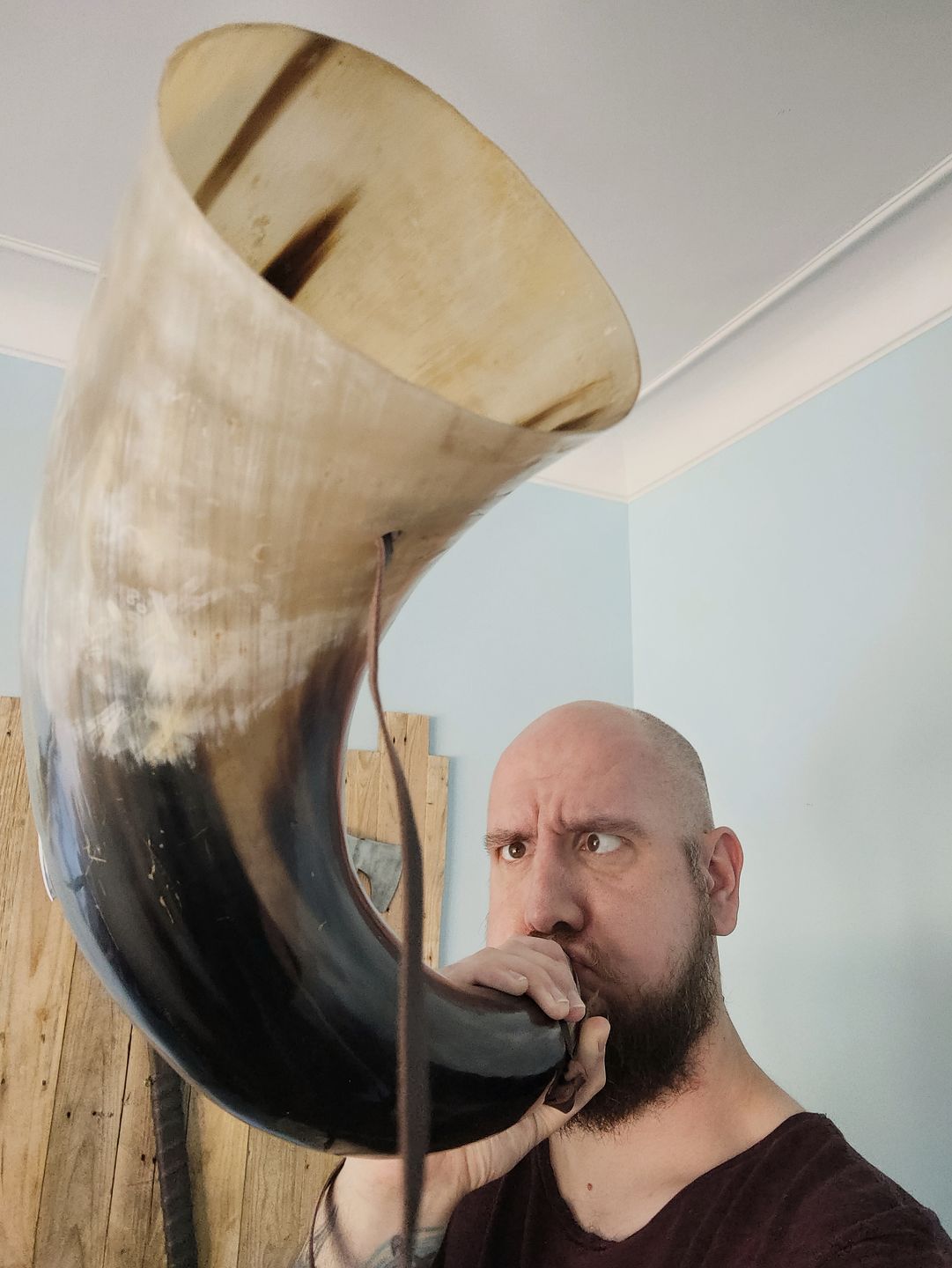 Customer photo review of War Horn - Extra Large