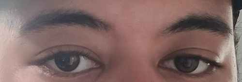 Customer photo review of Secretive Kristin Plus - brown