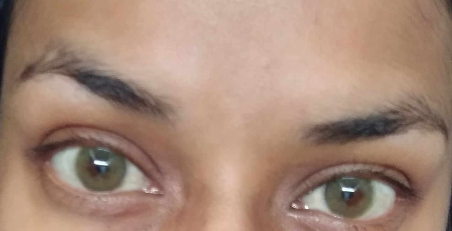 Customer photo review of Siesta Crystal Green