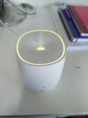 Customer photo review of Essential Oil Diffuser - Air Humidifier