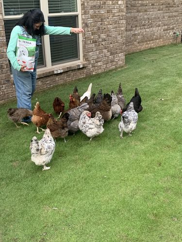 Customer photo review of GrubTerra Dried Larvae