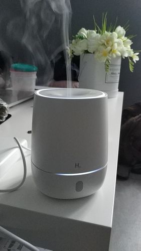 Customer photo review of Essential Oil Diffuser - Air Humidifier