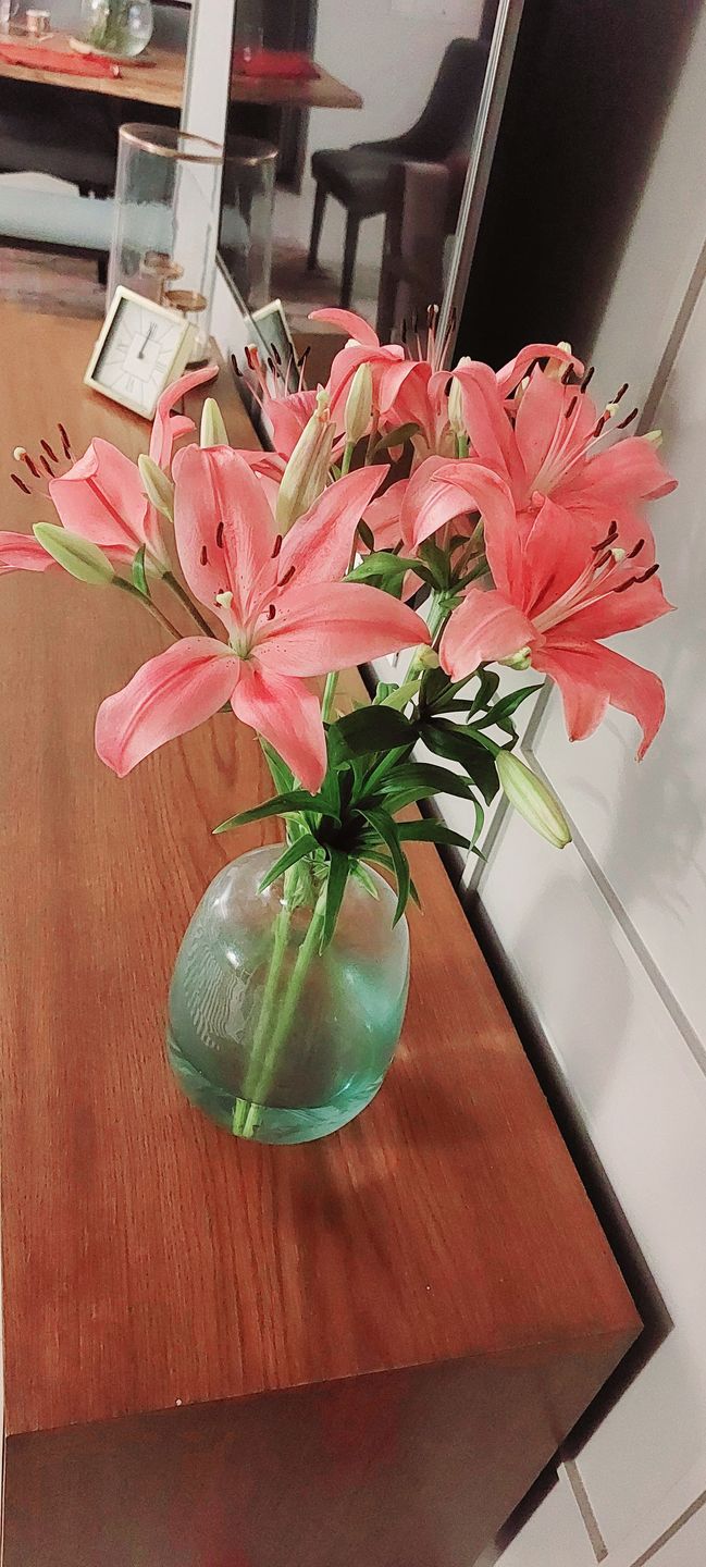 Customer photo review of Asiatic Lily