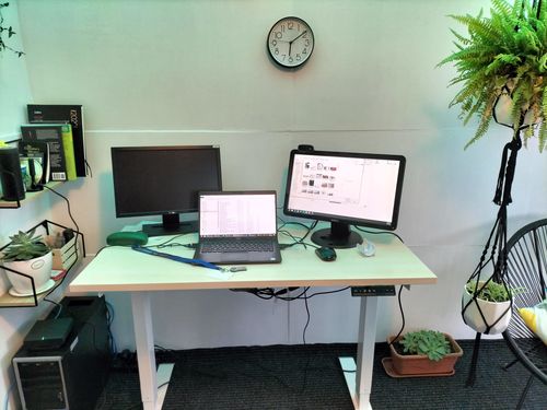 Customer photo review of Evo Electric Standing Height Adjustable  Desk(Free Shipping)