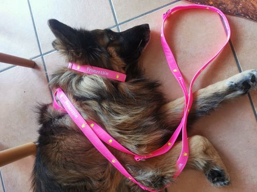 Customer photo review of Prinzessin - Hundeleine