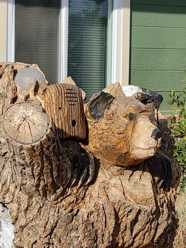 Customer photo review of Dog Silencer® MAX Multi-Pack