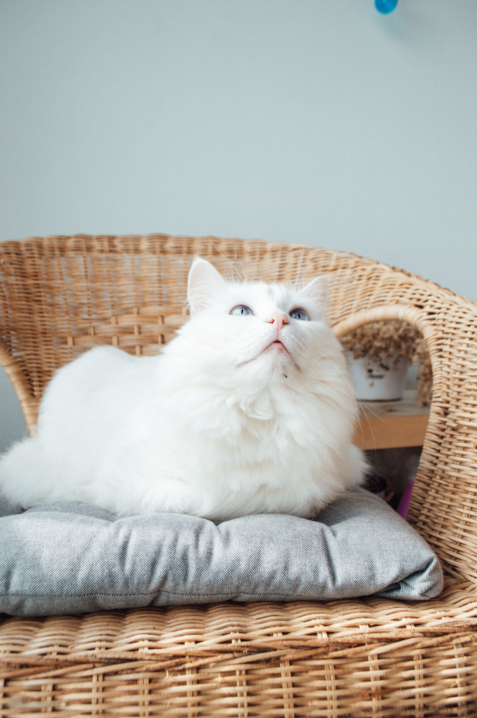 Customer photo review of CREAMY BUNDLE (190+ PRESETS)