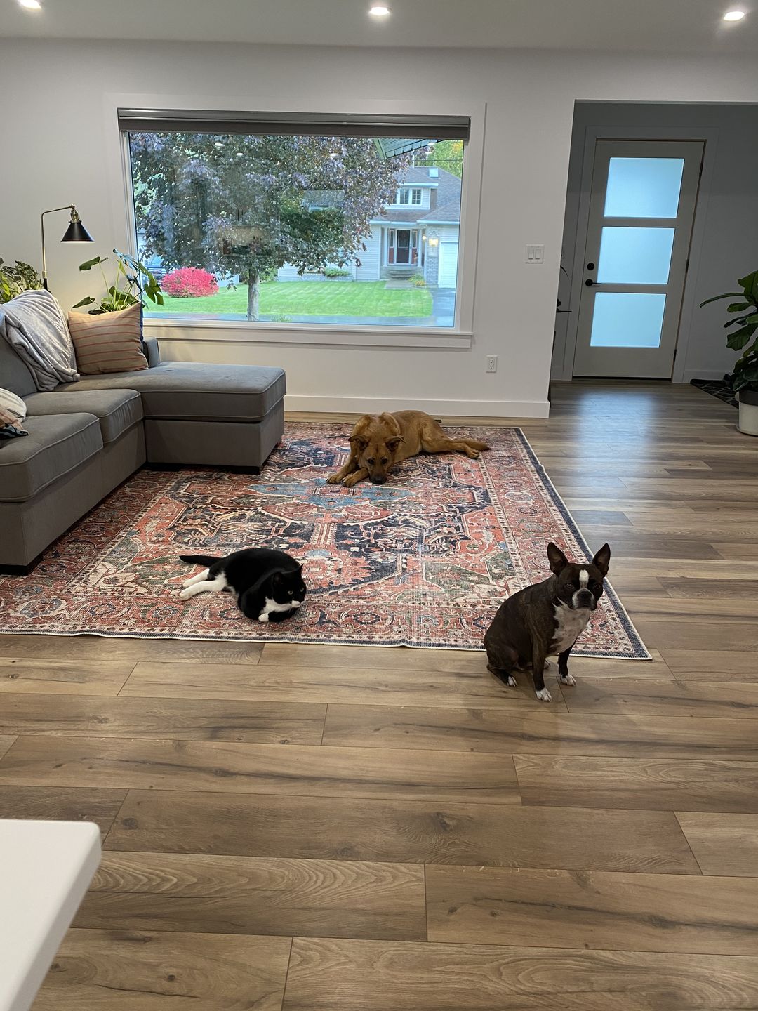 Customer photo review of Distressed Vintage Kendra Area Rug