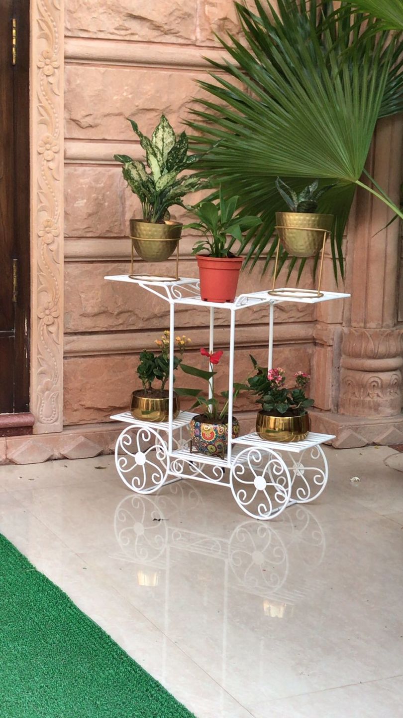 Customer photo review of 6-Tier Cart Planter Stand, Outdoor Flower Rack