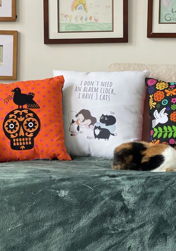 Customer photo review of Personalized Cat Pillow