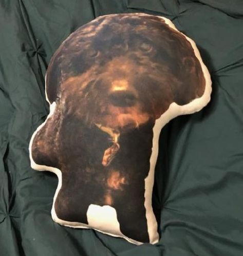 Customer photo review of Create A Custom Dog Pillow