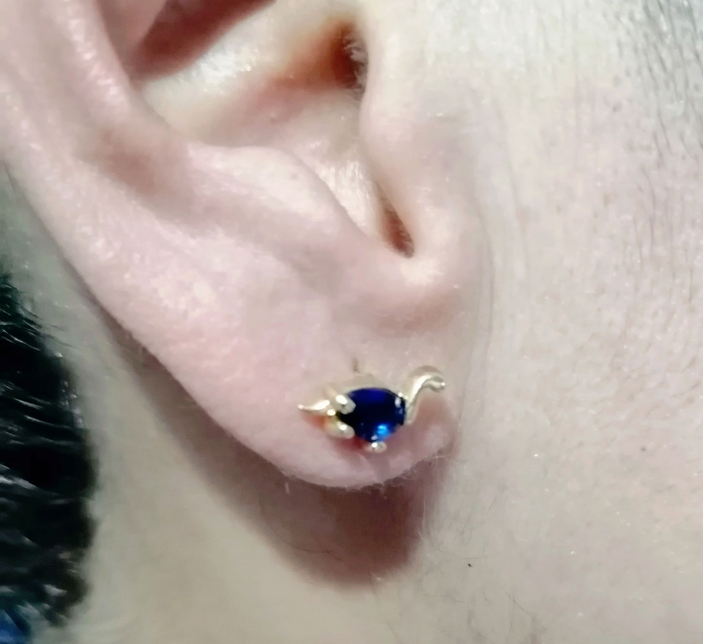 Customer photo review of Aretes de Dinosaurio
