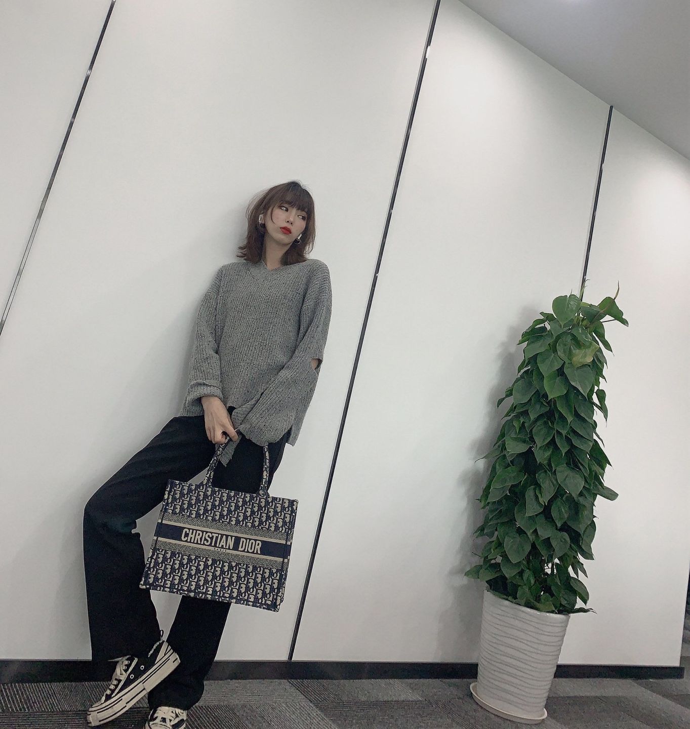 Customer photo review of 【ディオール】◆人気 BOOK TOTE 定番柄刺繍 トートバッグ-3 sizes