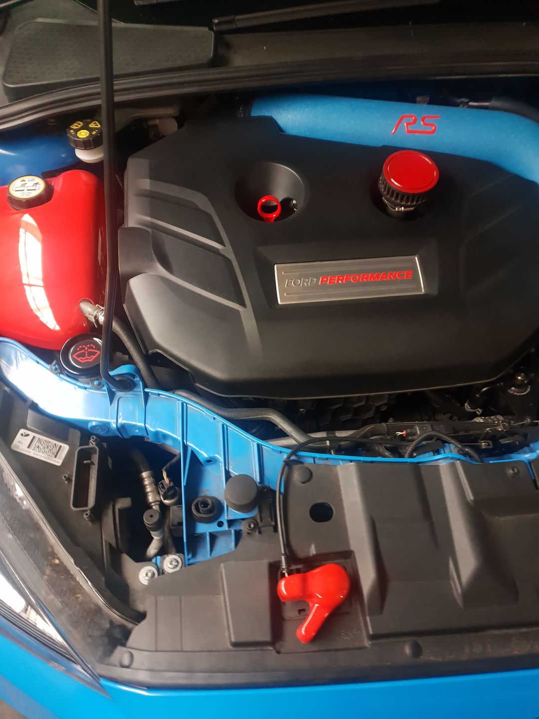 Customer photo review of Proform Bonnet Catch Cover (various colours) - MK3 / 3.5 Focus & Mk2 Puma