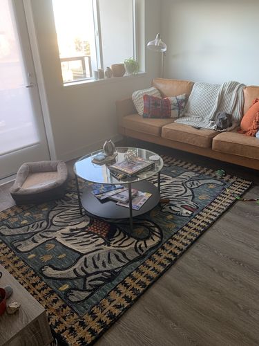 Customer photo review of Tigress Teal Rug by Justina Blakeney® X Loloi