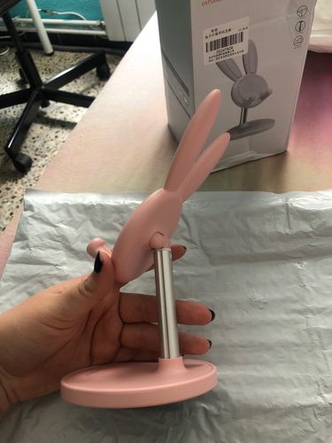 Customer photo review of Cute Bunny Phone, Switch Stand