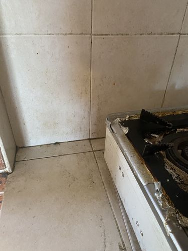 Customer photo review of SHYN Degreaser - 2 Litre