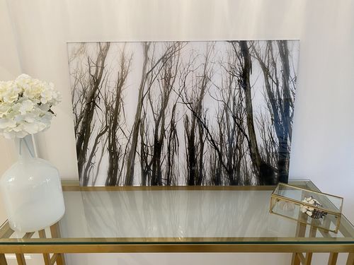 Customer photo review of Acrylic Mounting Panel - 60 x 90 cm