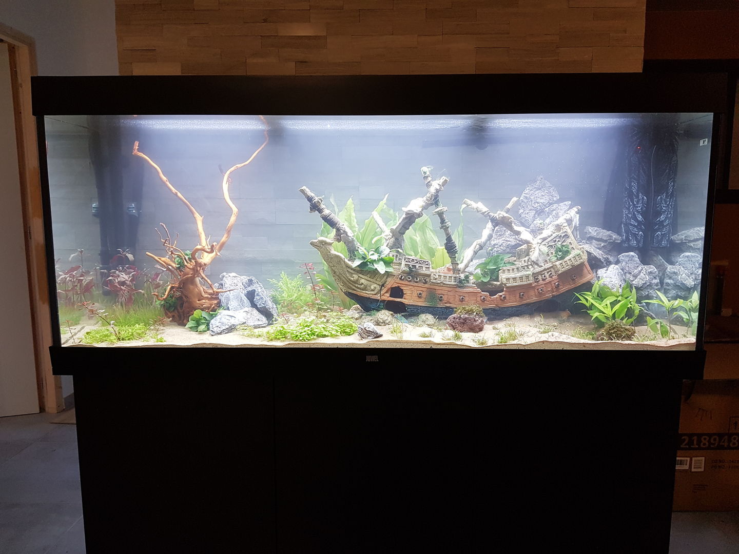 Customer photo review of Aquarium Rio 450 LED Noir Équipé JUWEL - 450L
