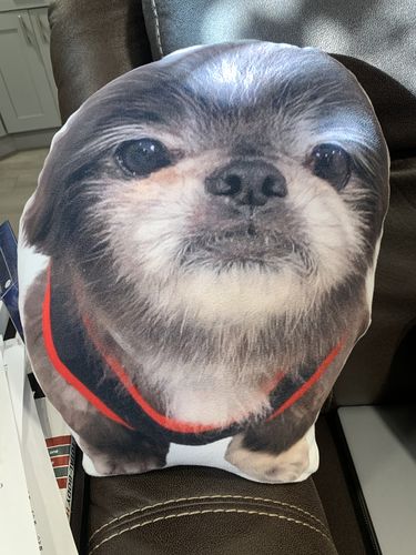 Customer photo review of Create A Custom Dog Pillow
