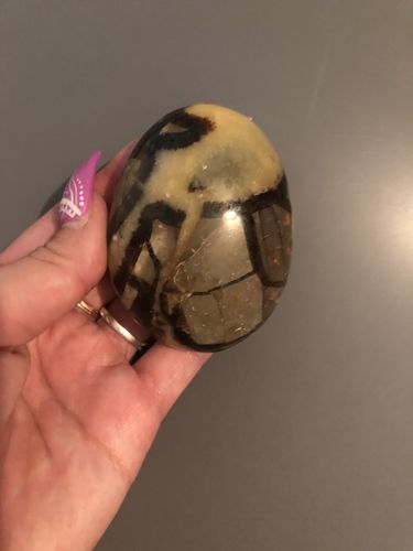 Customer photo review of Septarian Palm Stone