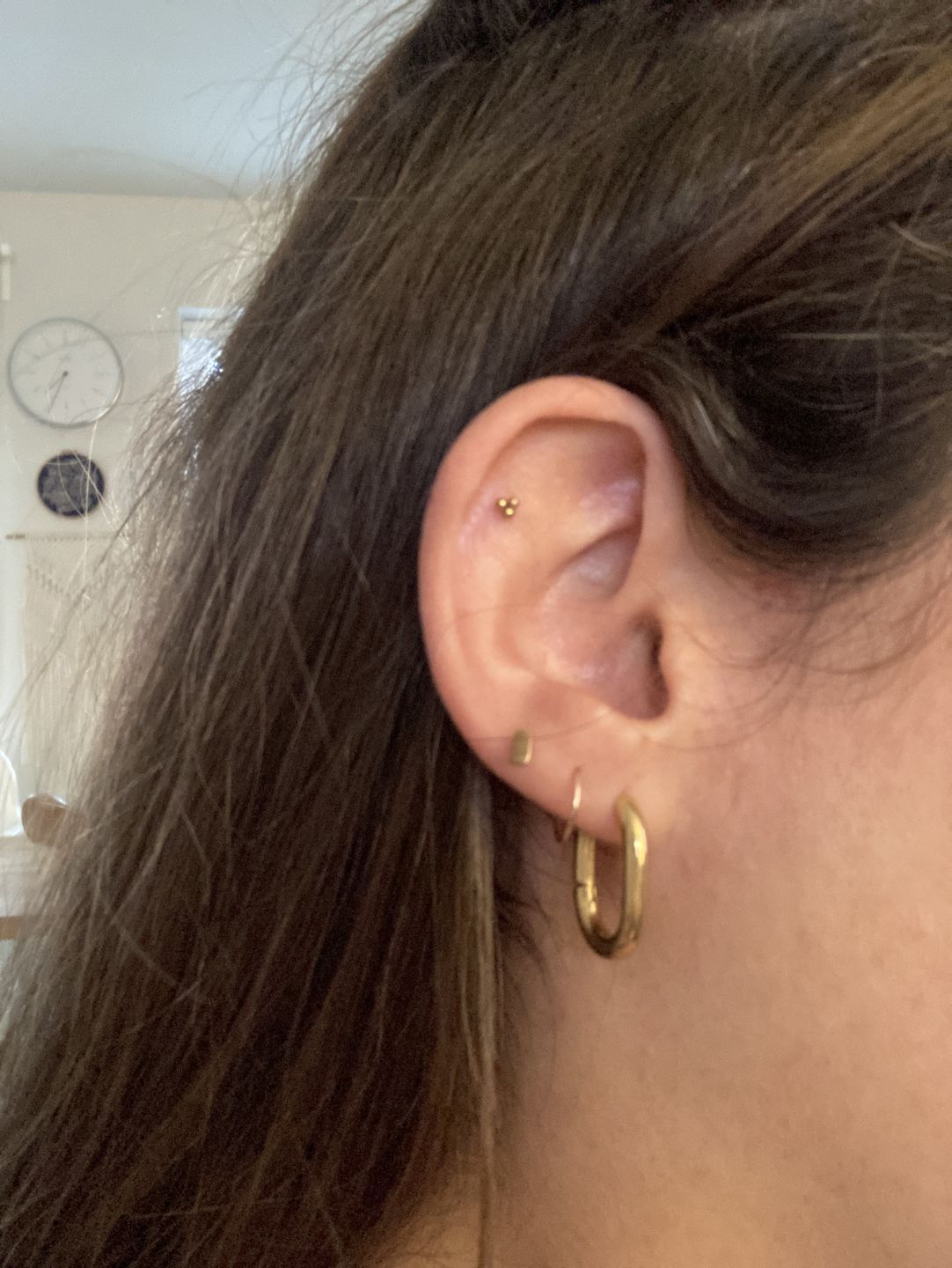 Customer photo review of Oval hoops