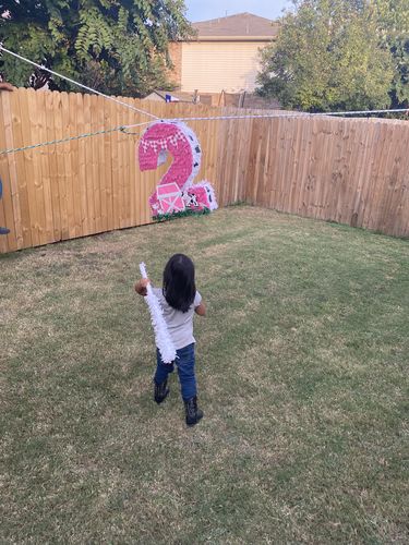 Customer photo review of Barnyard Themed Number Two Pinata Pink Color for Second Birthday Farm Decoration
