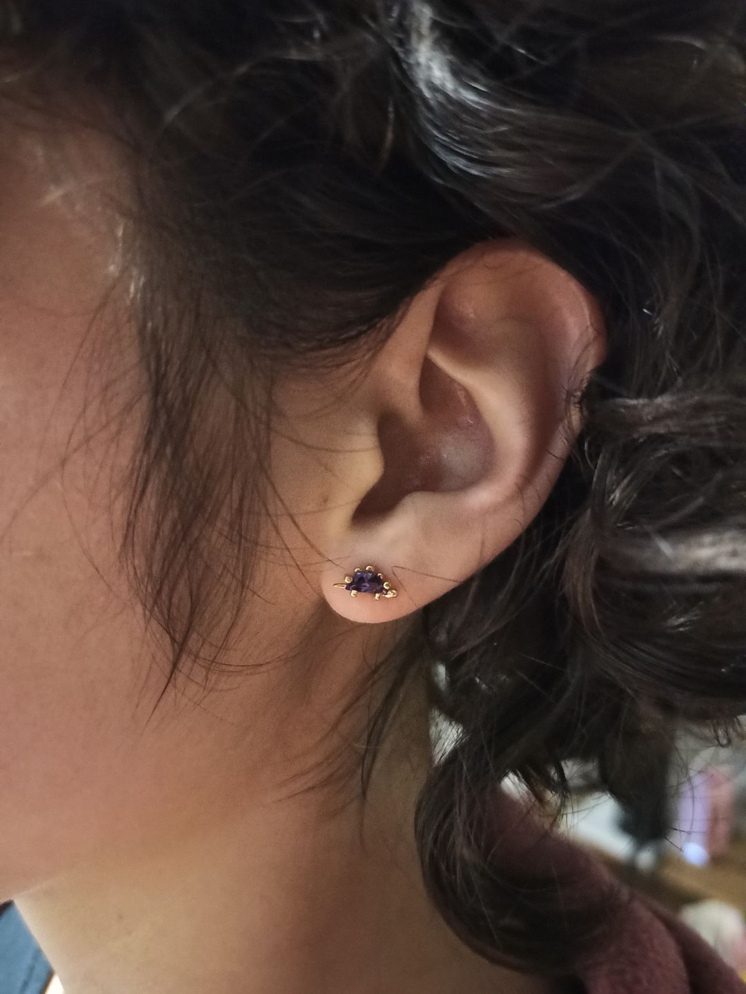 Customer photo review of Aretes de Dinosaurio