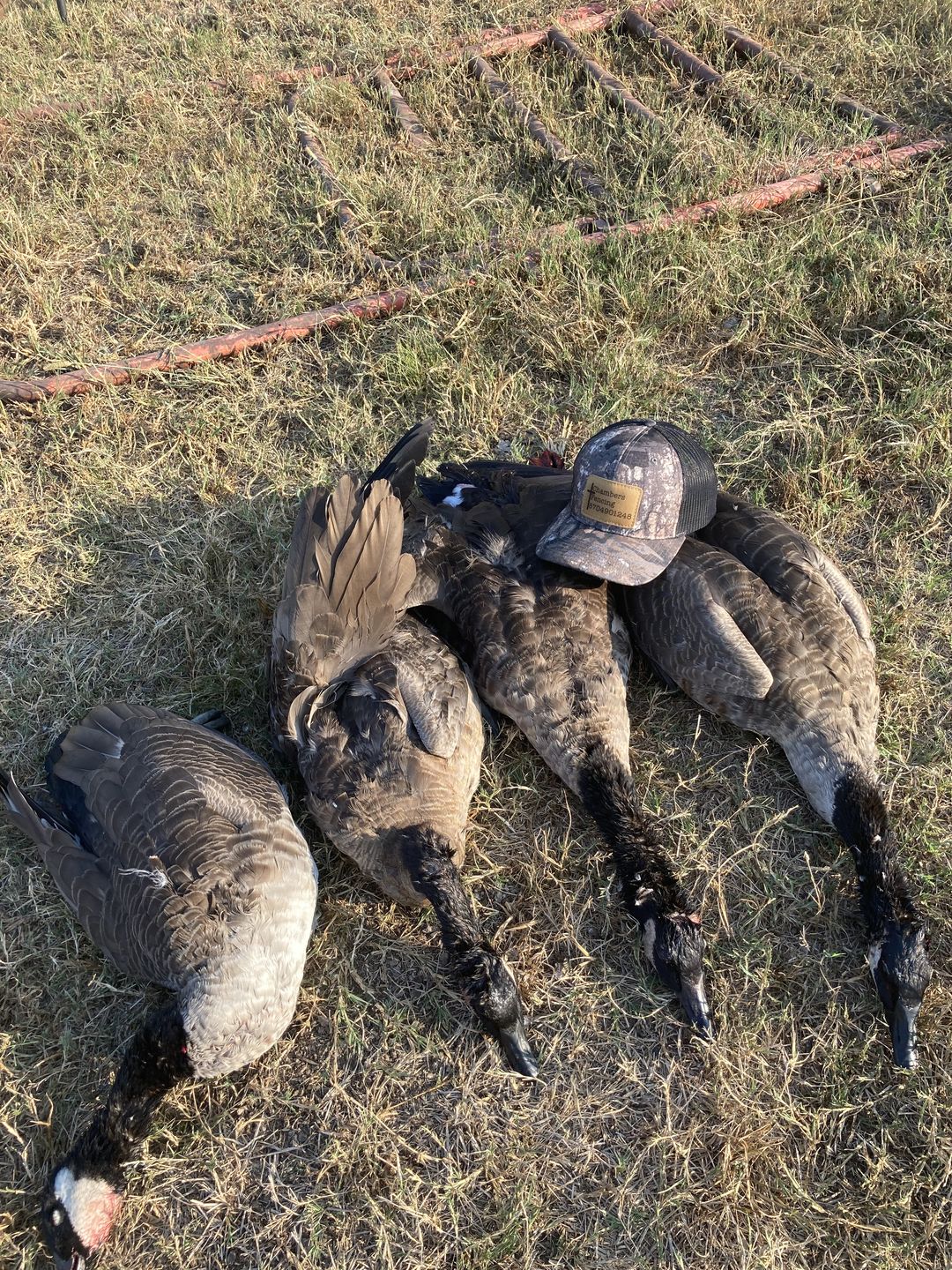 Customer photo review of 112p Camo Patch Hat