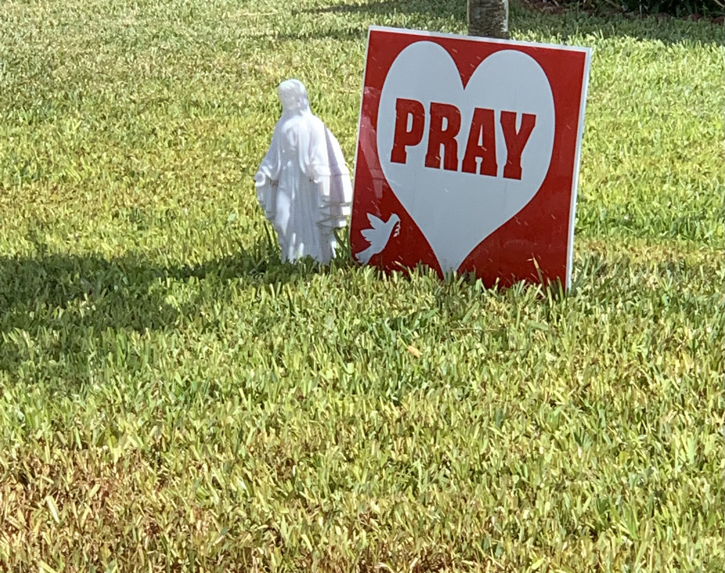 Customer photo review of Eternal Light Blessed Mary