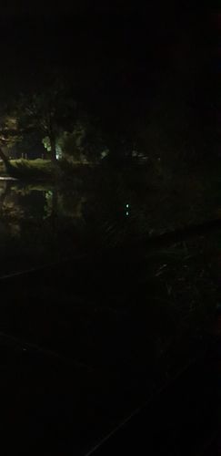 Customer photo review of 7g Smart Fishing Float